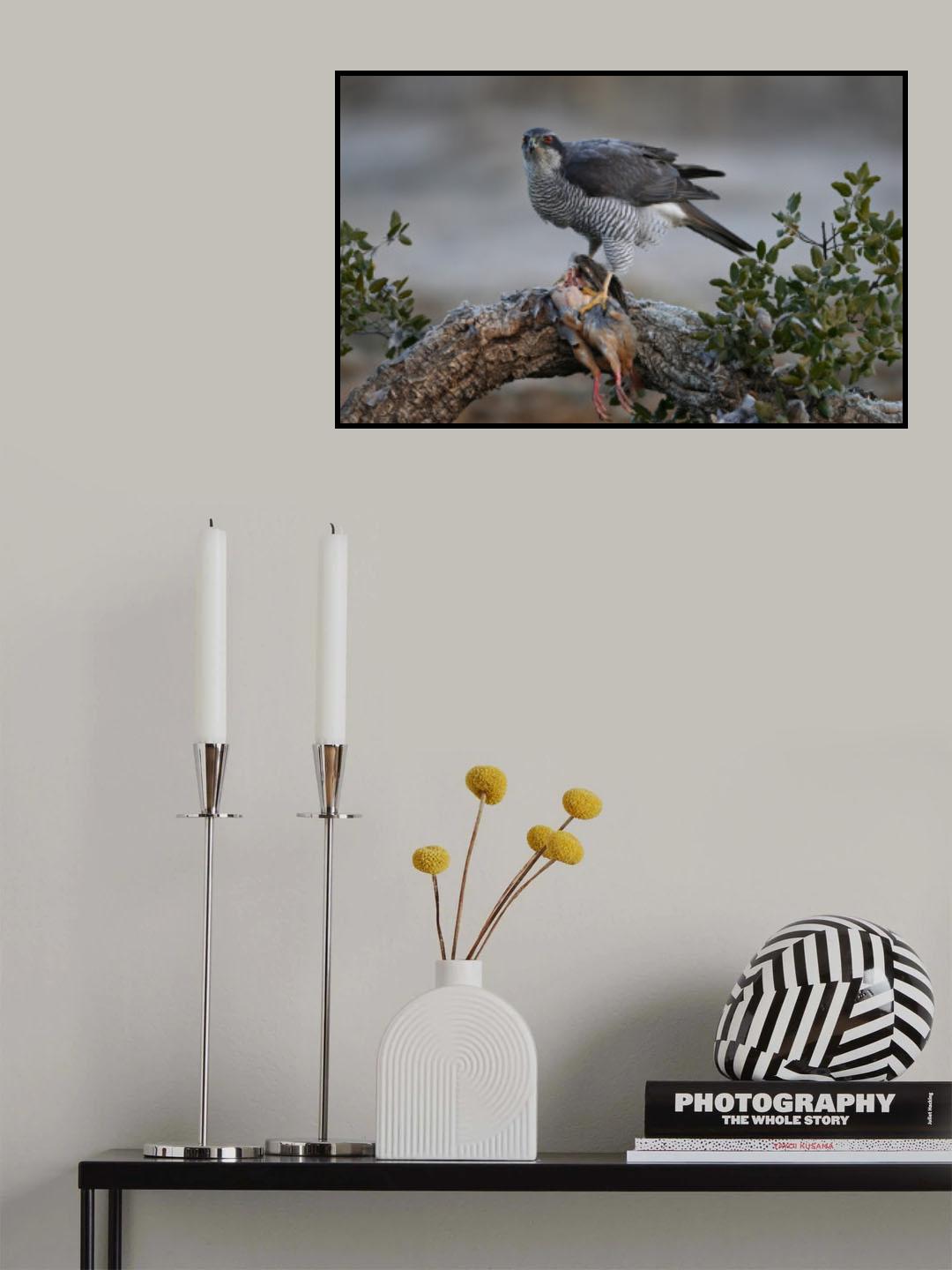 The prey Poster och Canvastavla