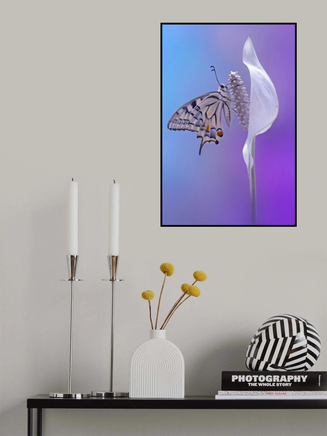 machaon butterfly Poster och Canvastavla