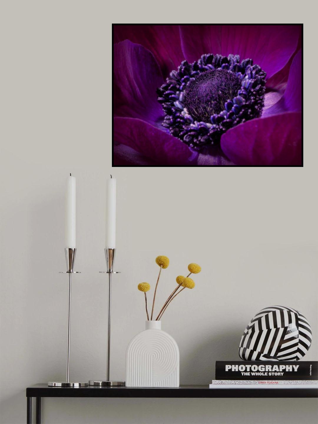 Purple Crown ... Poster och Canvastavla