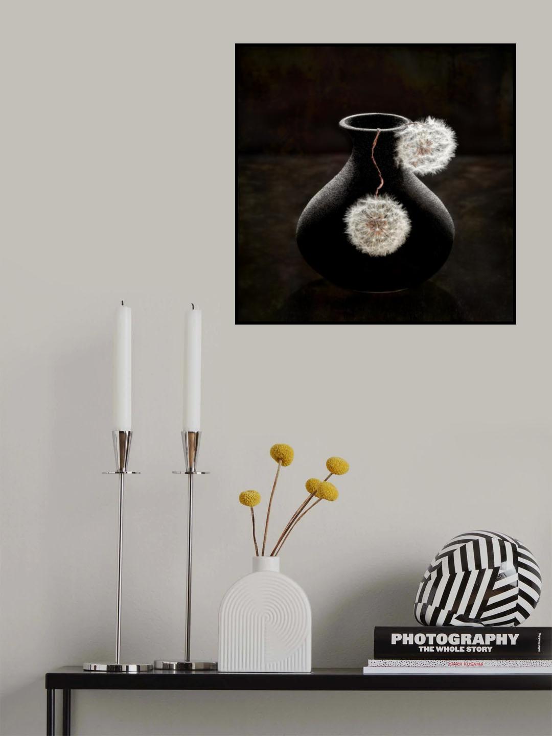 Plush Balls Poster och Canvastavla