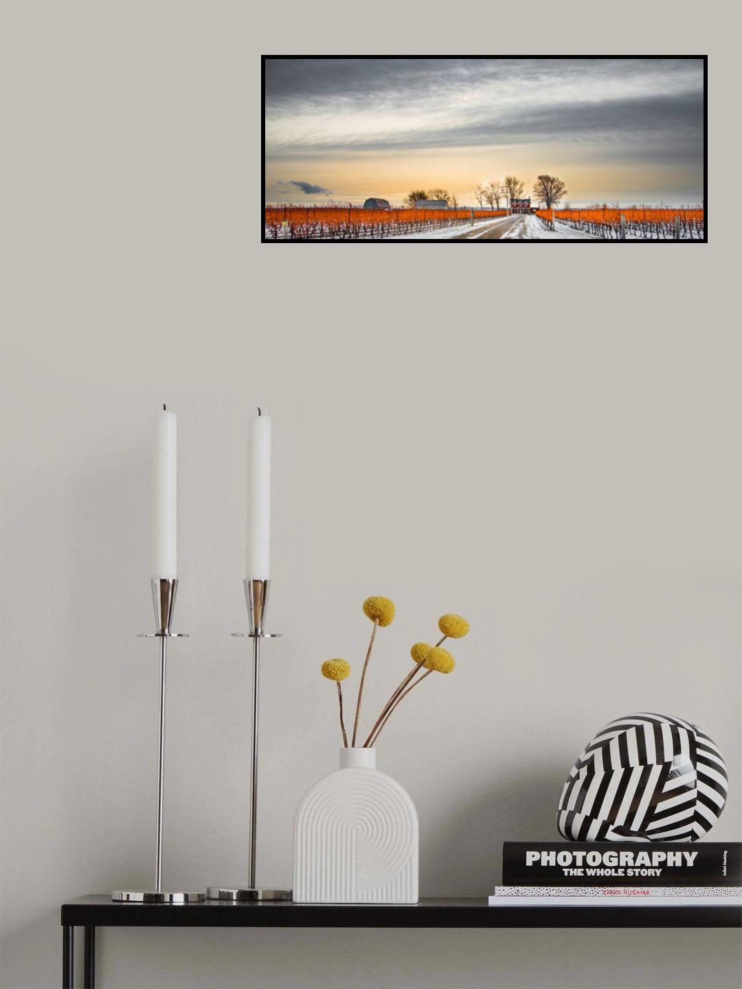 Vineyard Poster och Canvastavla
