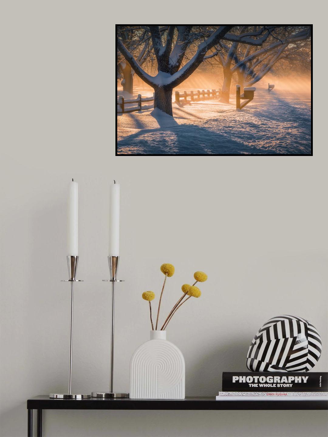 After Snow Storm Poster och Canvastavla