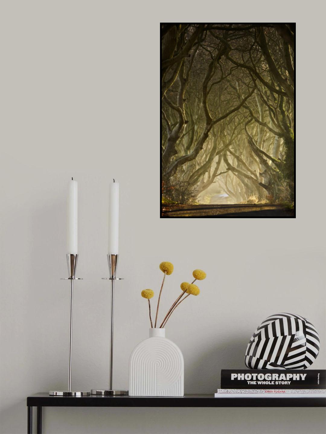 Entwined Poster och Canvastavla
