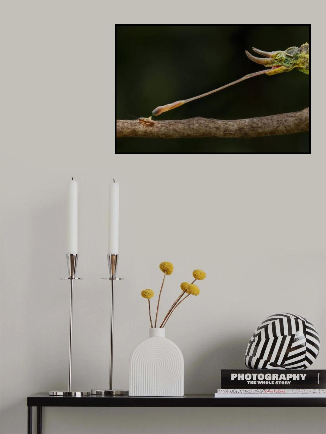 No Hope Poster och Canvastavla
