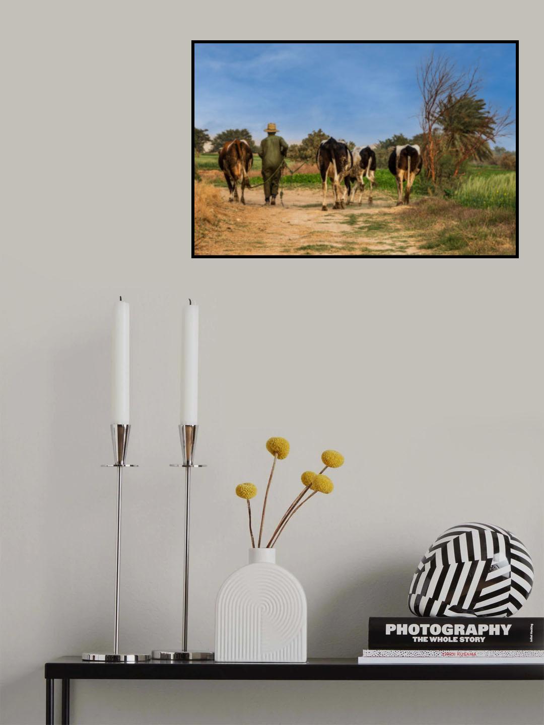 Farm Poster och Canvastavla