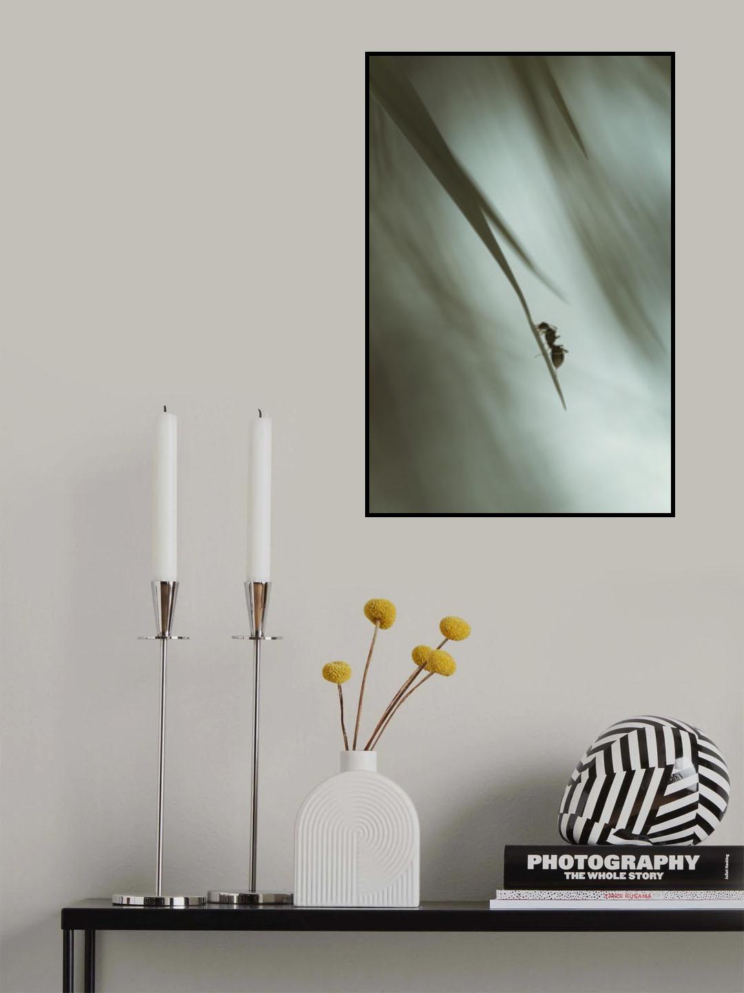 up Poster och Canvastavla
