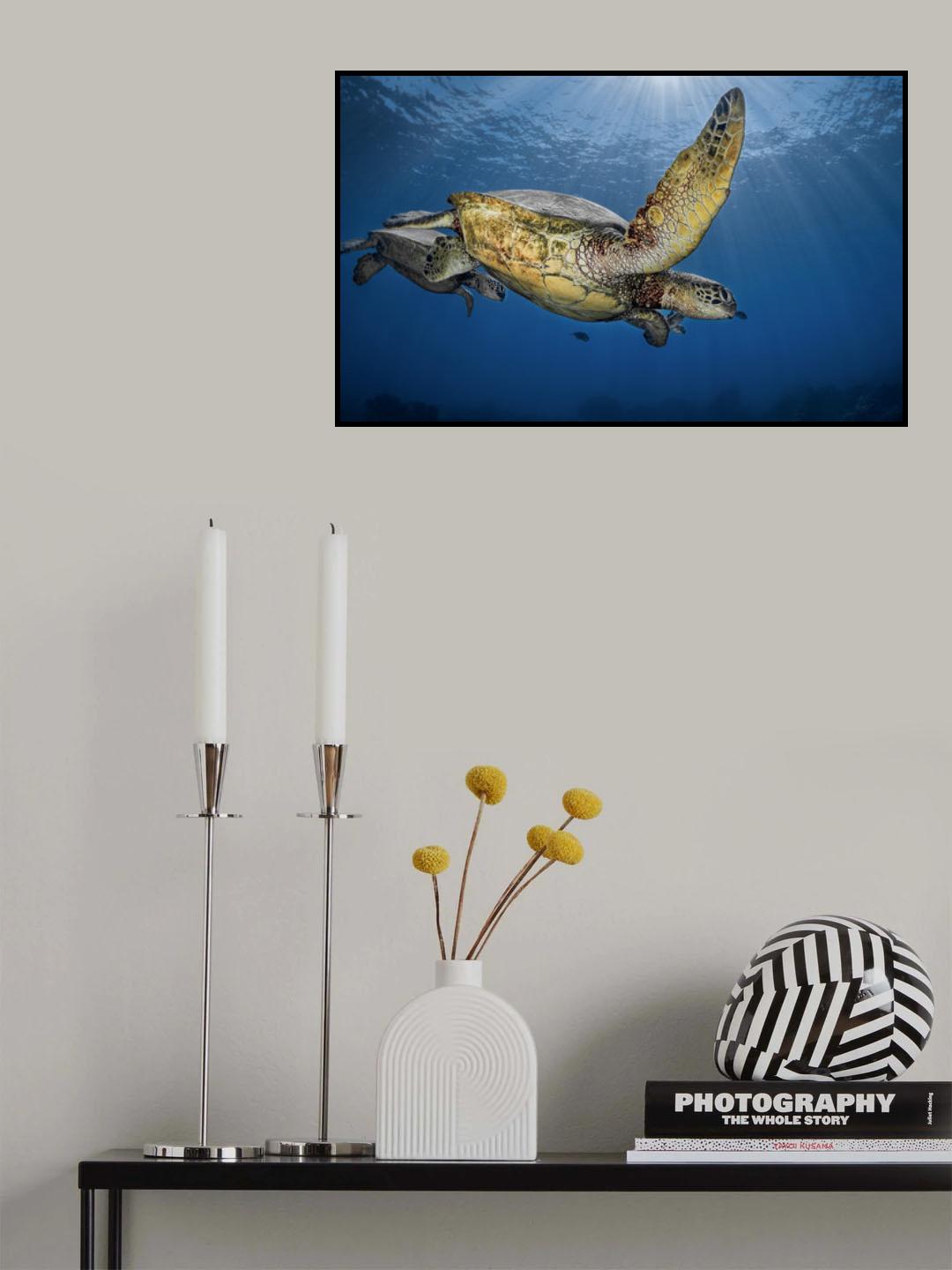Mom with two babies out for a morning swim Poster och Canvastavla