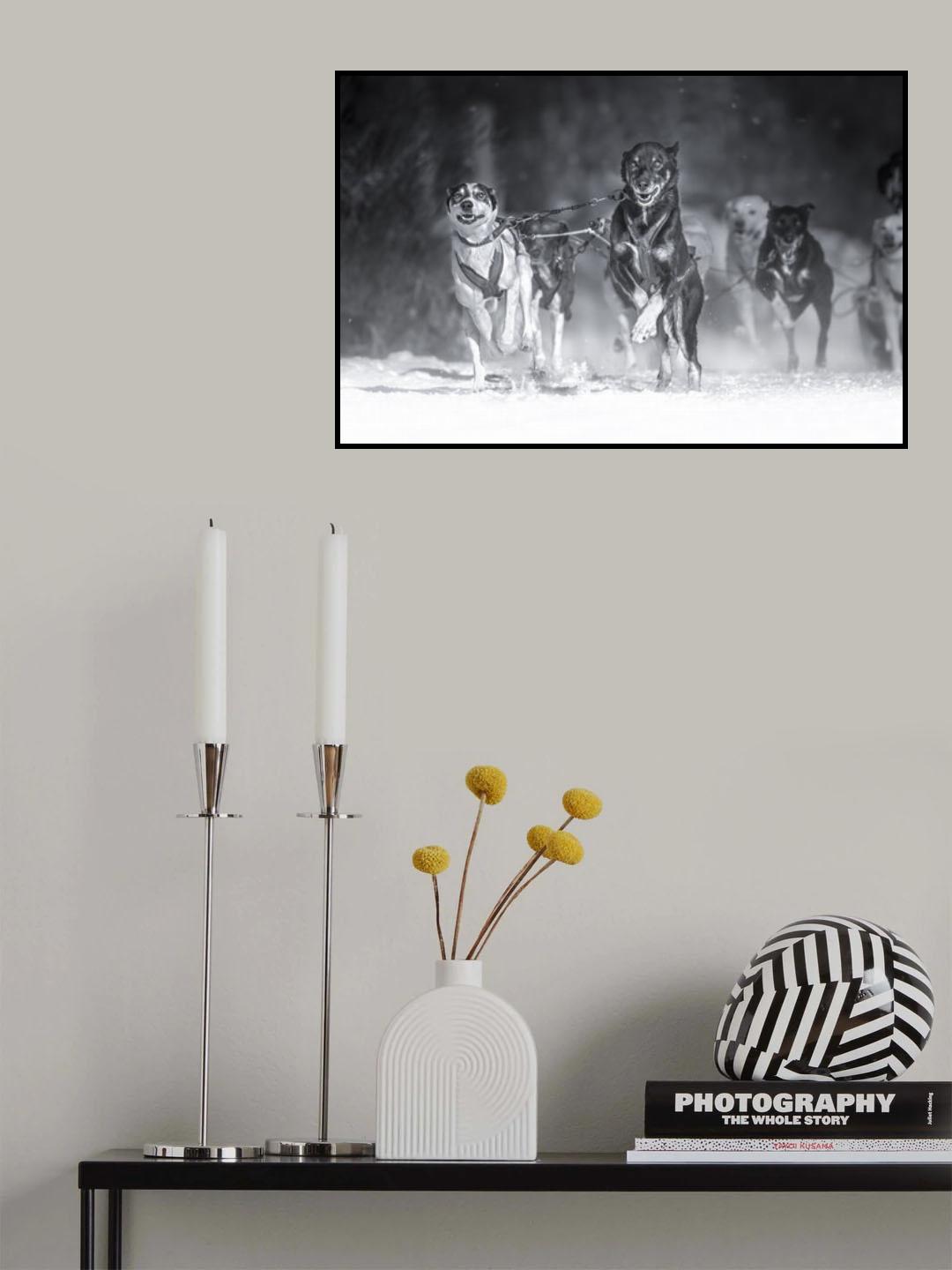 Dog day Poster och Canvastavla