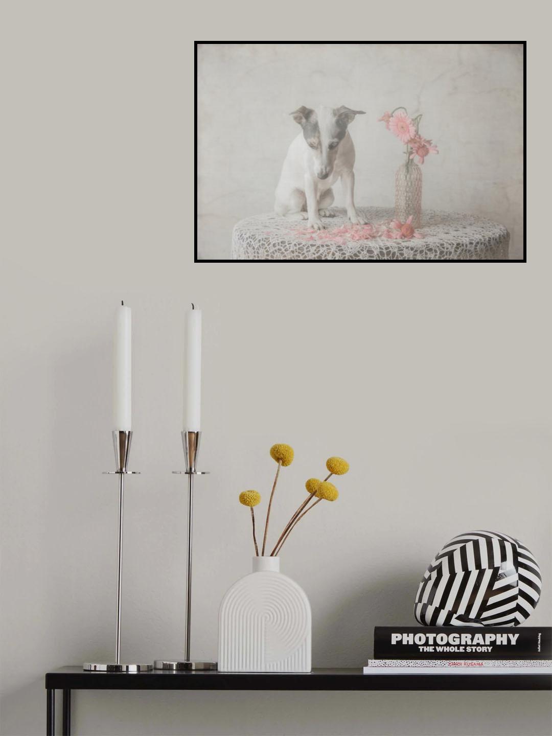 He loves me....he loves me not.... Poster och Canvastavla