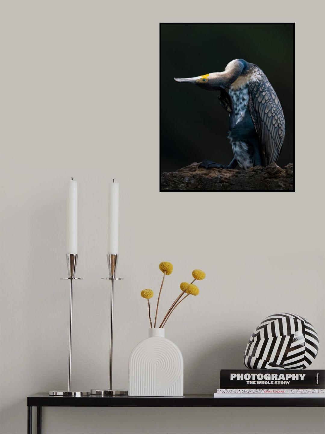 Cormorant Poster och Canvastavla