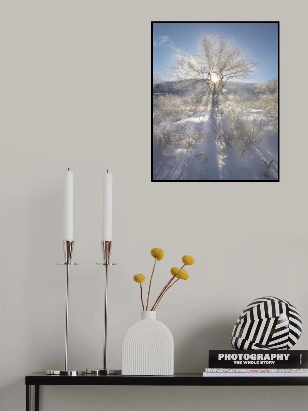 Winter morning in the mountain Poster och Canvastavla