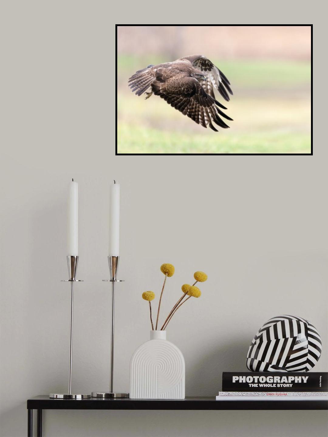 I fly away Poster och Canvastavla