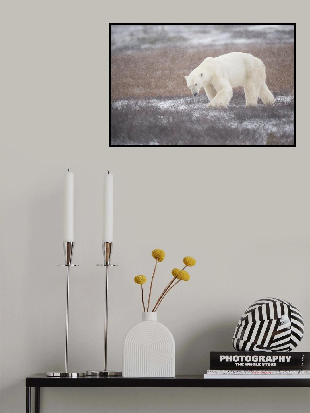 It's snowing Poster och Canvastavla