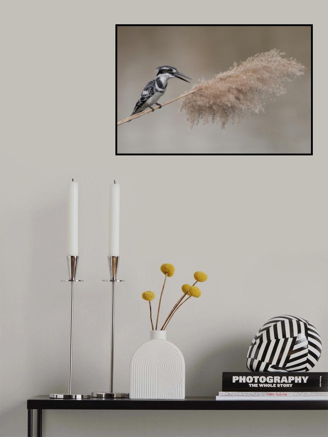 Balance Poster och Canvastavla