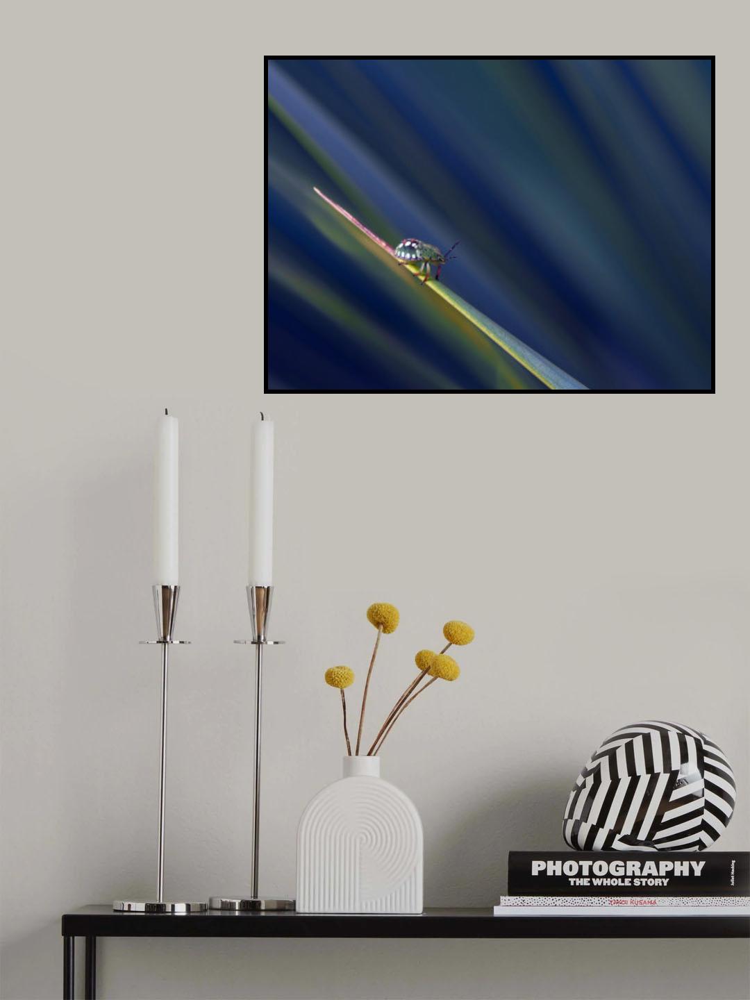 In the blue of the night... Poster och Canvastavla