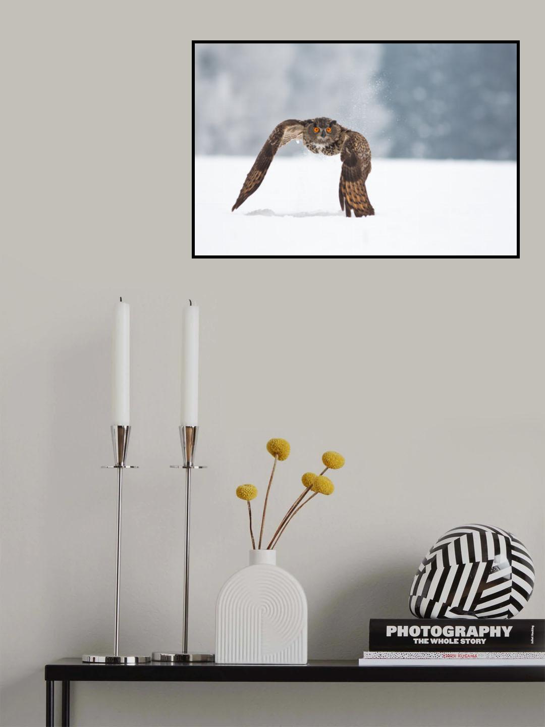Eurasian eagle-owl Poster och Canvastavla
