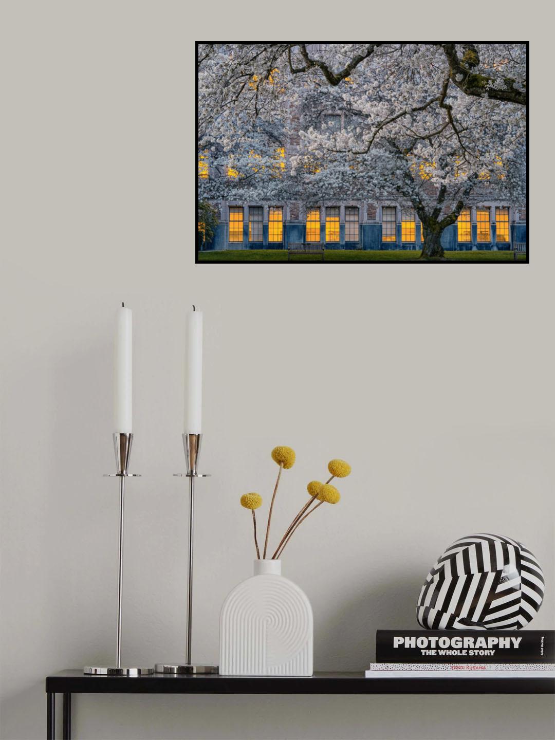 Morning at University of Washington Poster och Canvastavla