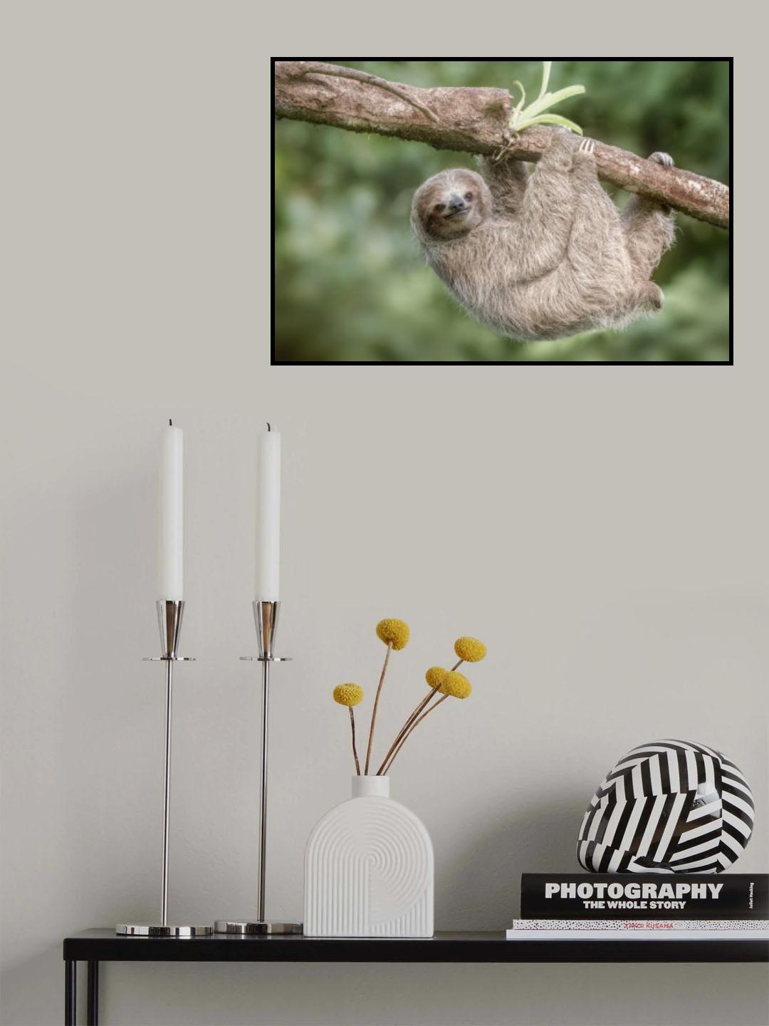 Wanna Hang Out Poster och Canvastavla