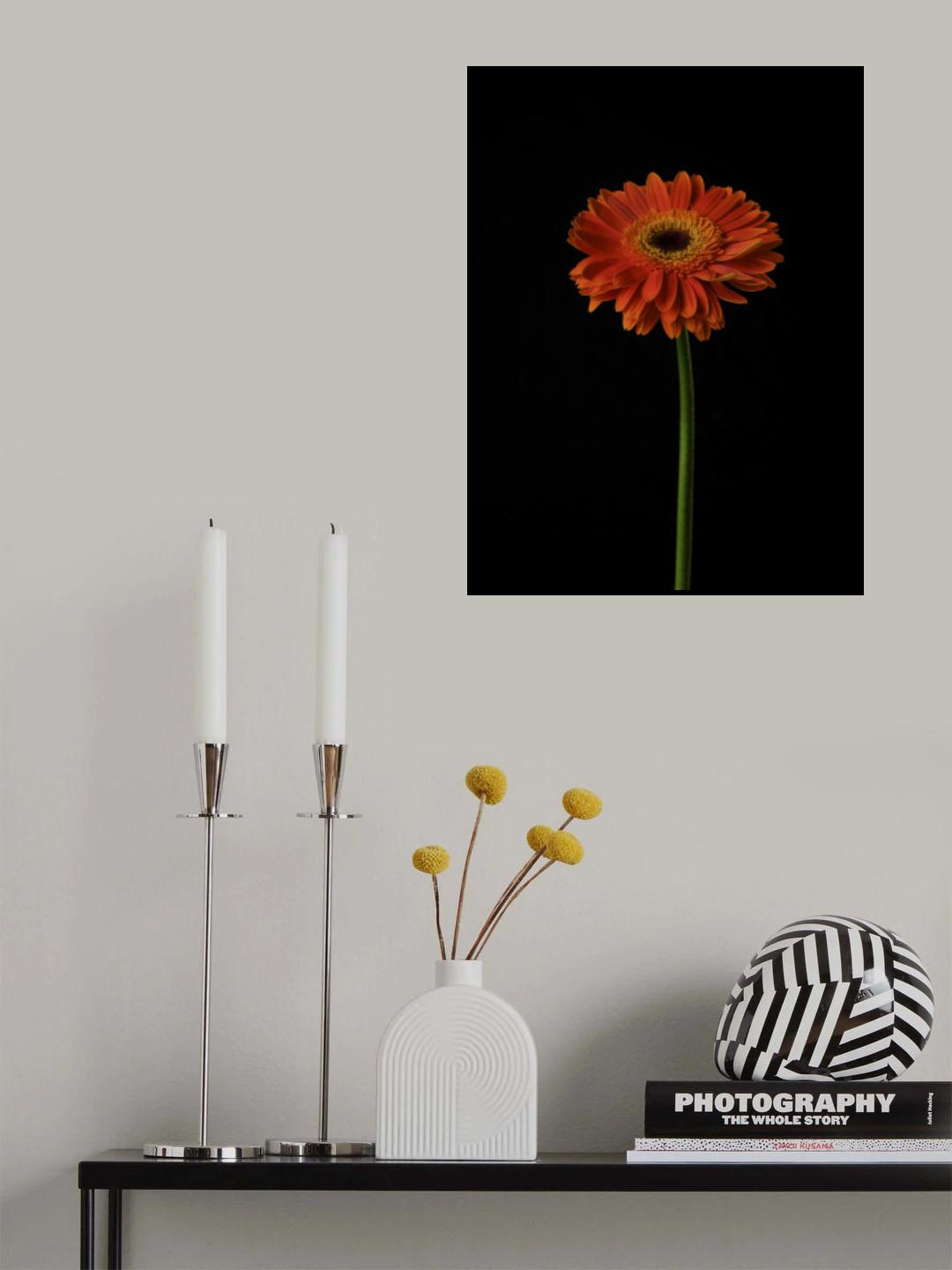 Beautiful flower Poster och Canvastavla