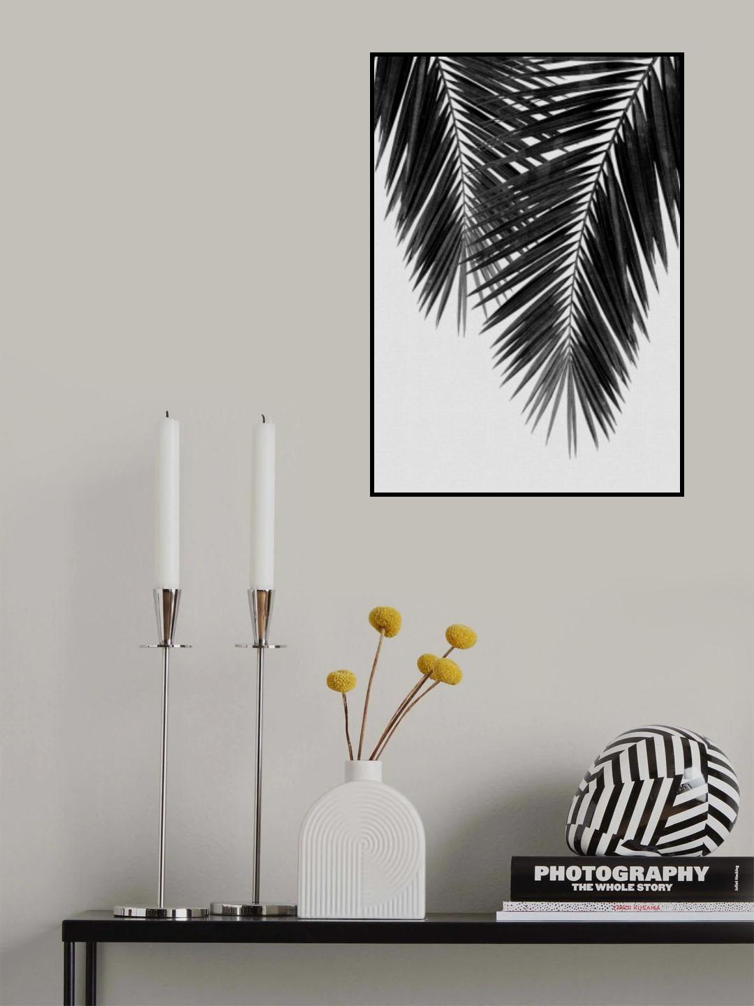 Palm Leaf Black & White II Poster och Canvastavla