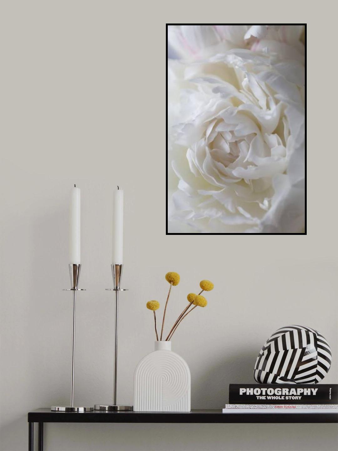 Peony_14 Poster och Canvastavla