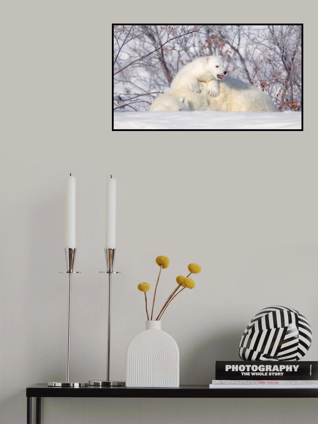 Hot hot Poster och Canvastavla