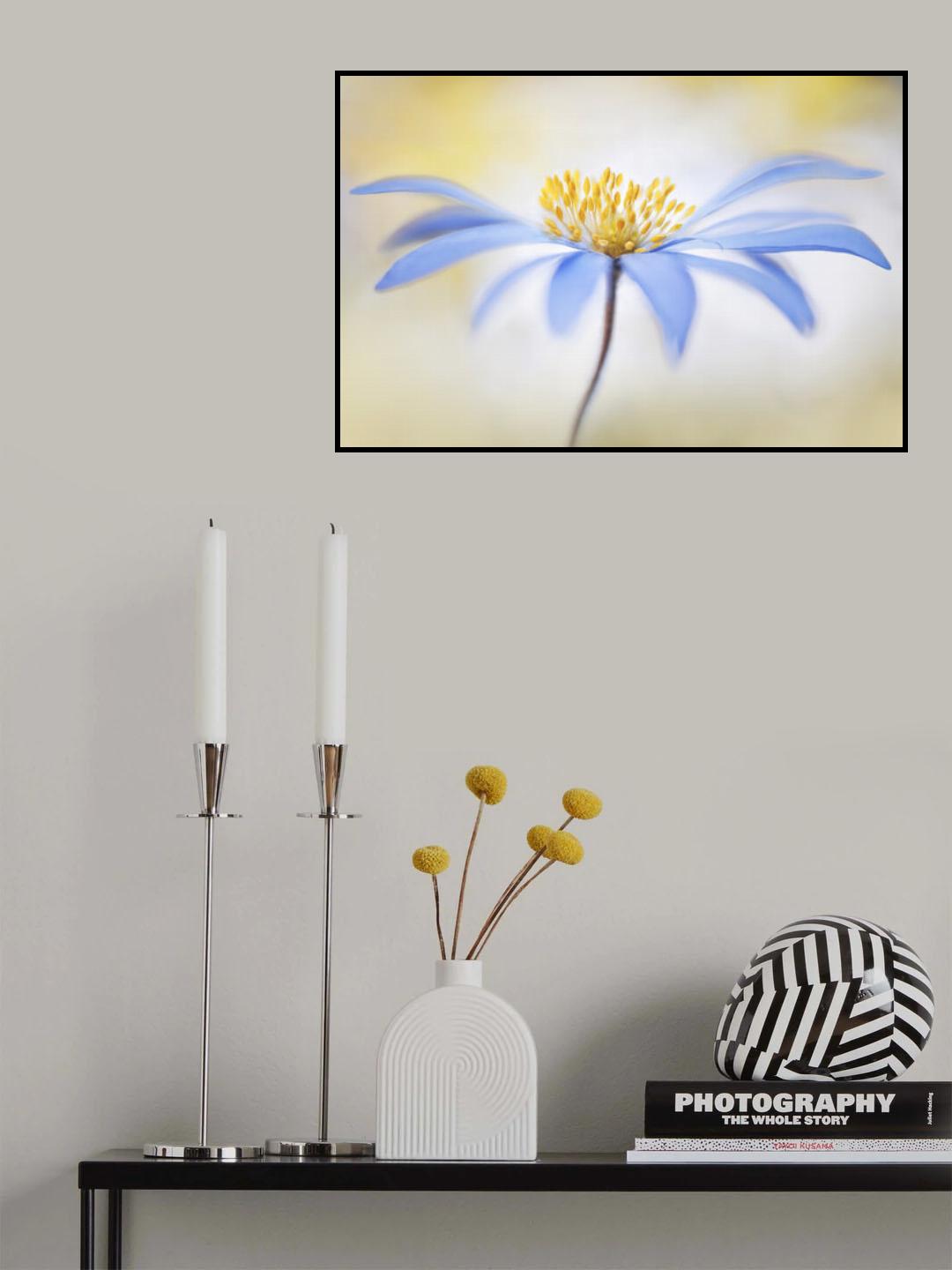 ~Anemone~ Poster och Canvastavla