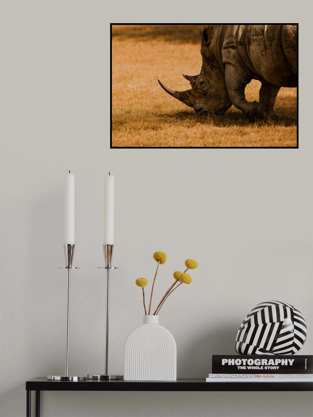 White rhino Poster och Canvastavla