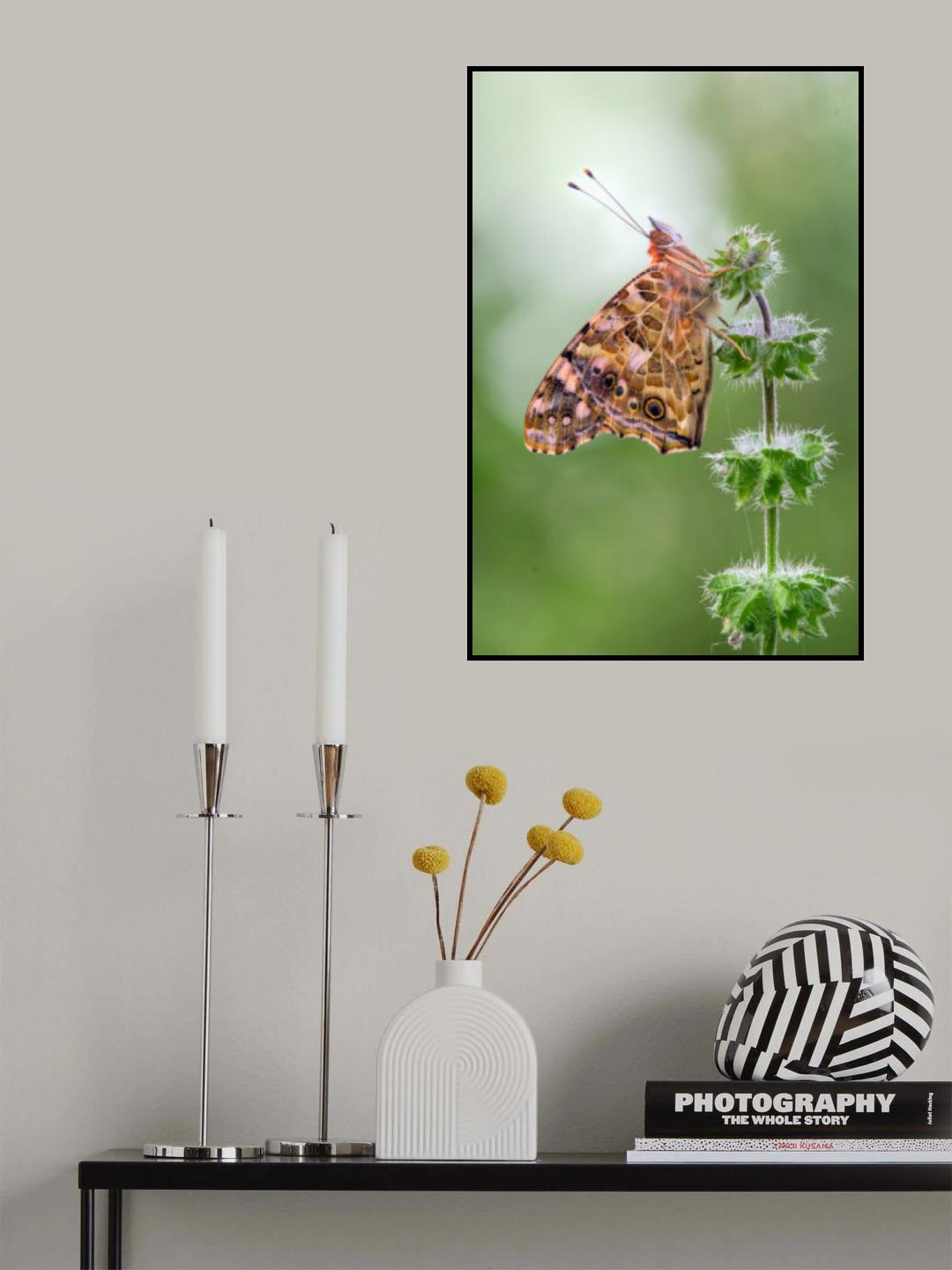 towards the light Poster och Canvastavla