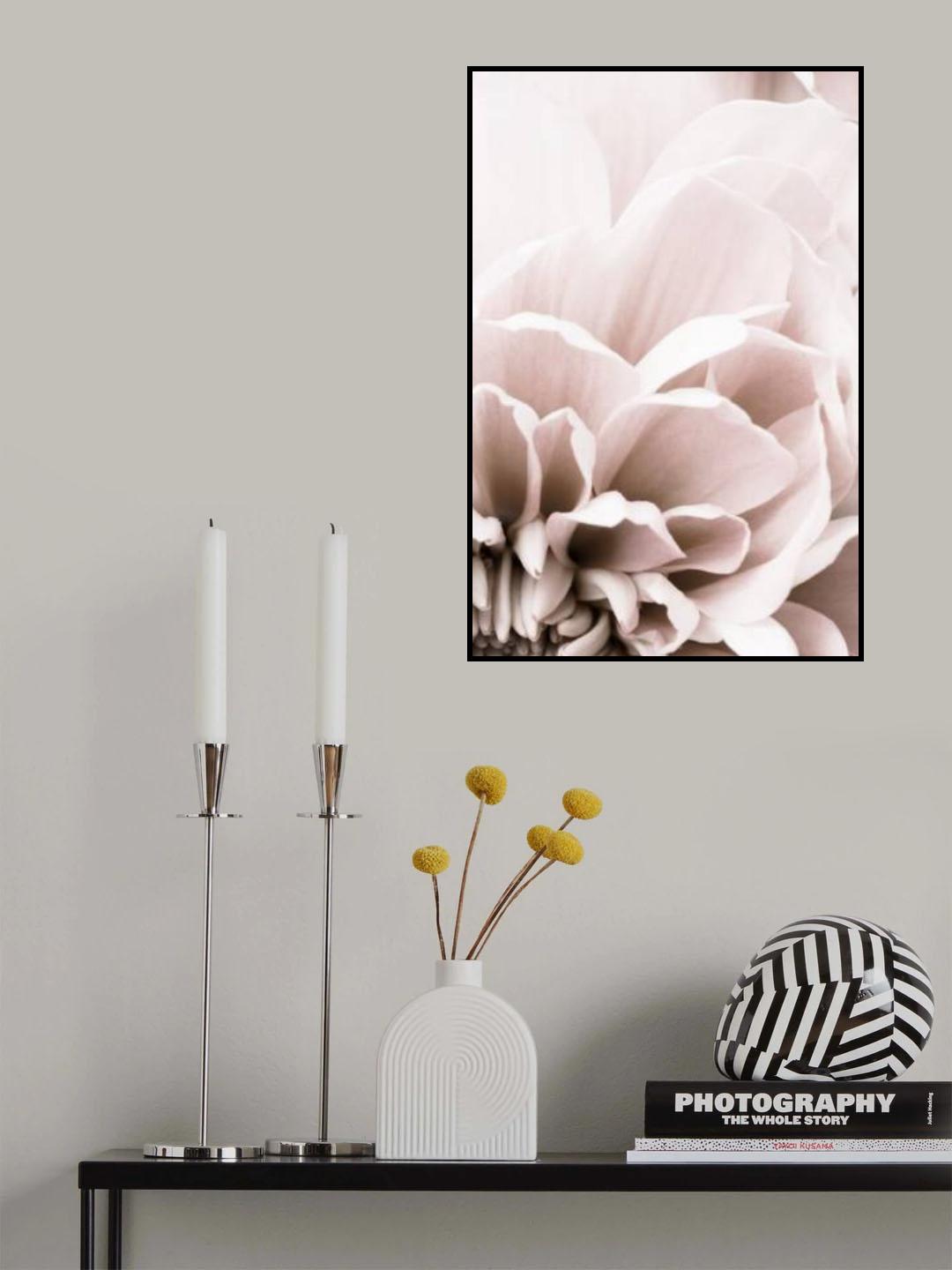 Chrysanthemum No 07 Poster och Canvastavla