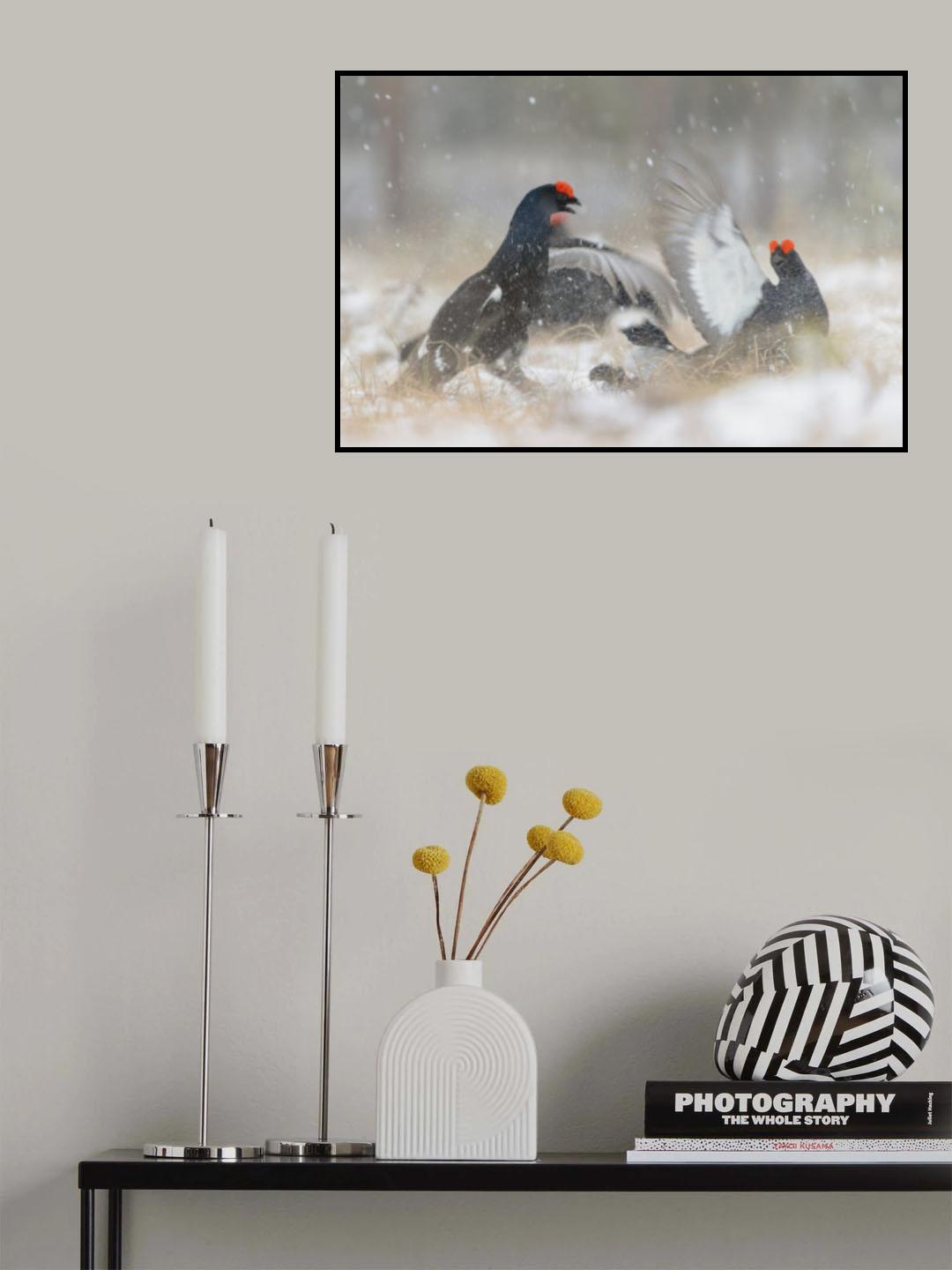 SNOW FIGHT Poster och Canvastavla