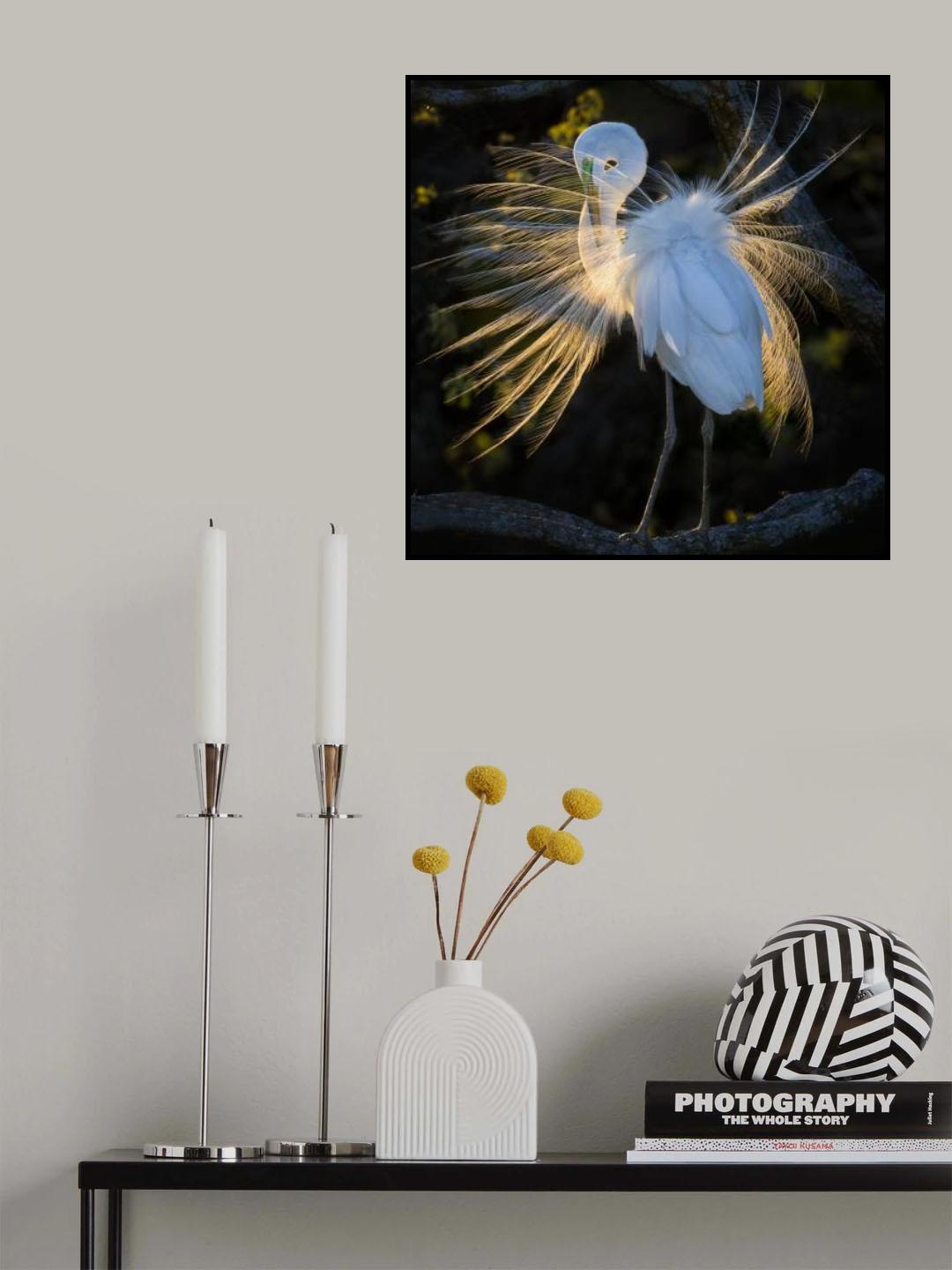 Golden Moment Poster och Canvastavla