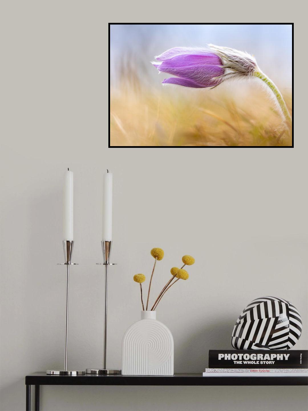 So Soft! Poster och Canvastavla