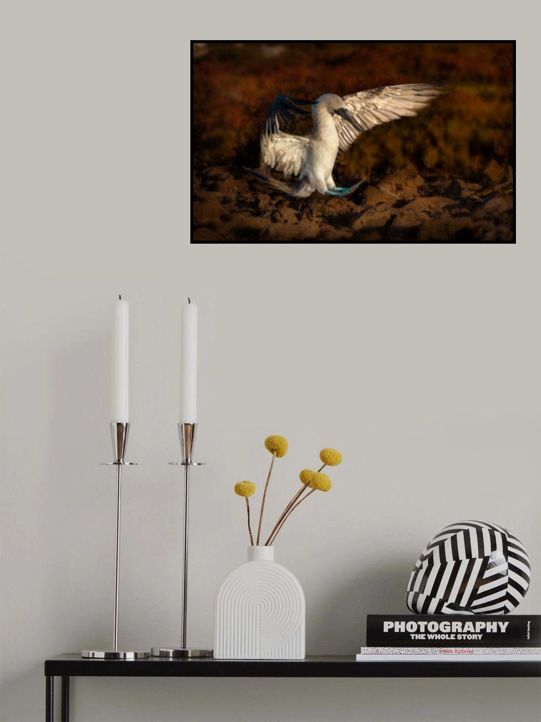 Landing Poster och Canvastavla