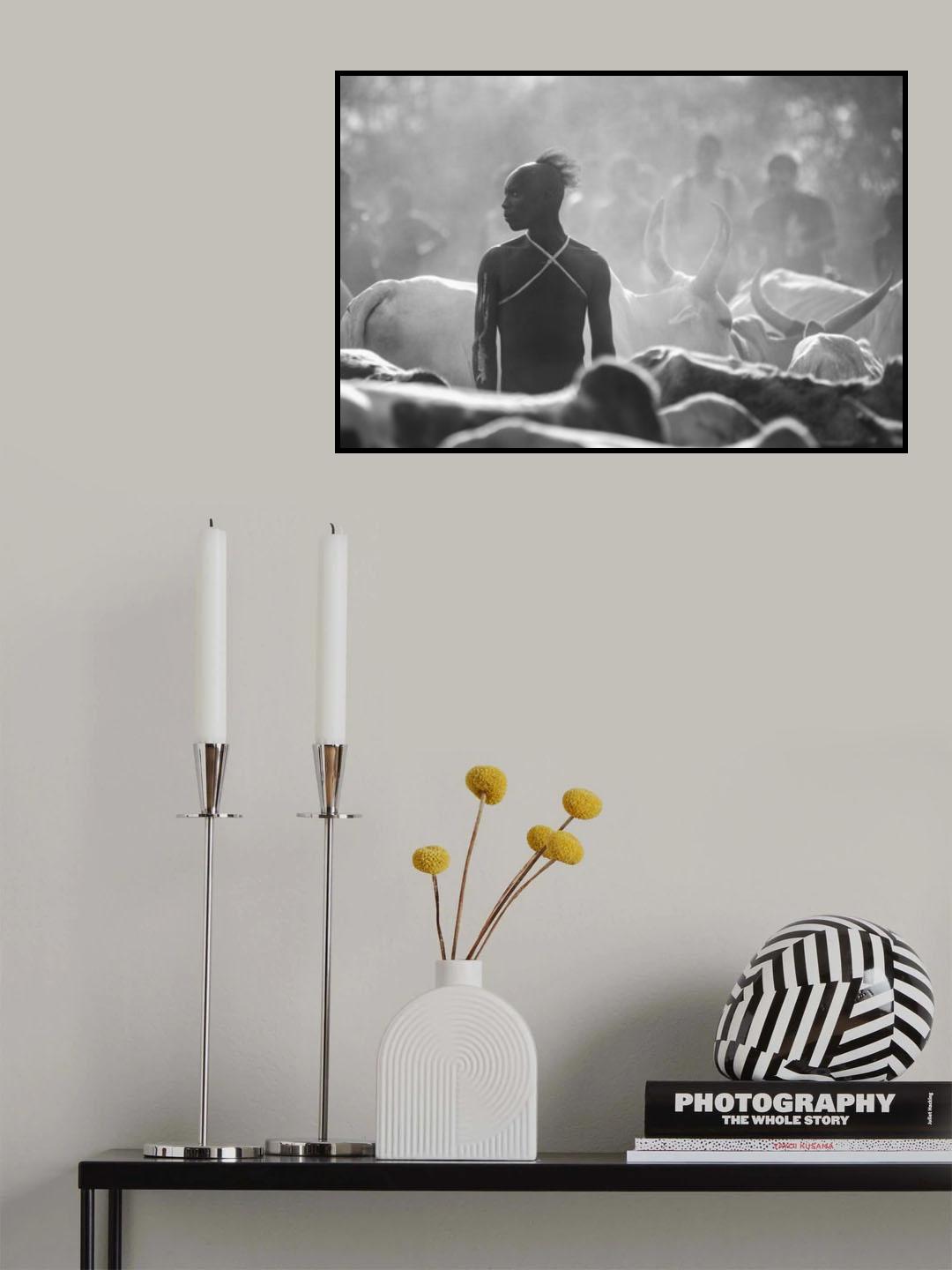 Bullah Poster och Canvastavla