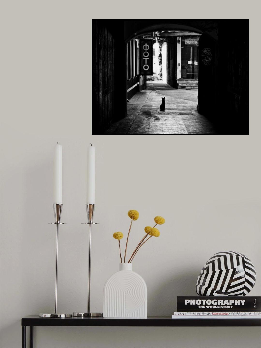 Life in passage or black cat on my way Poster och Canvastavla