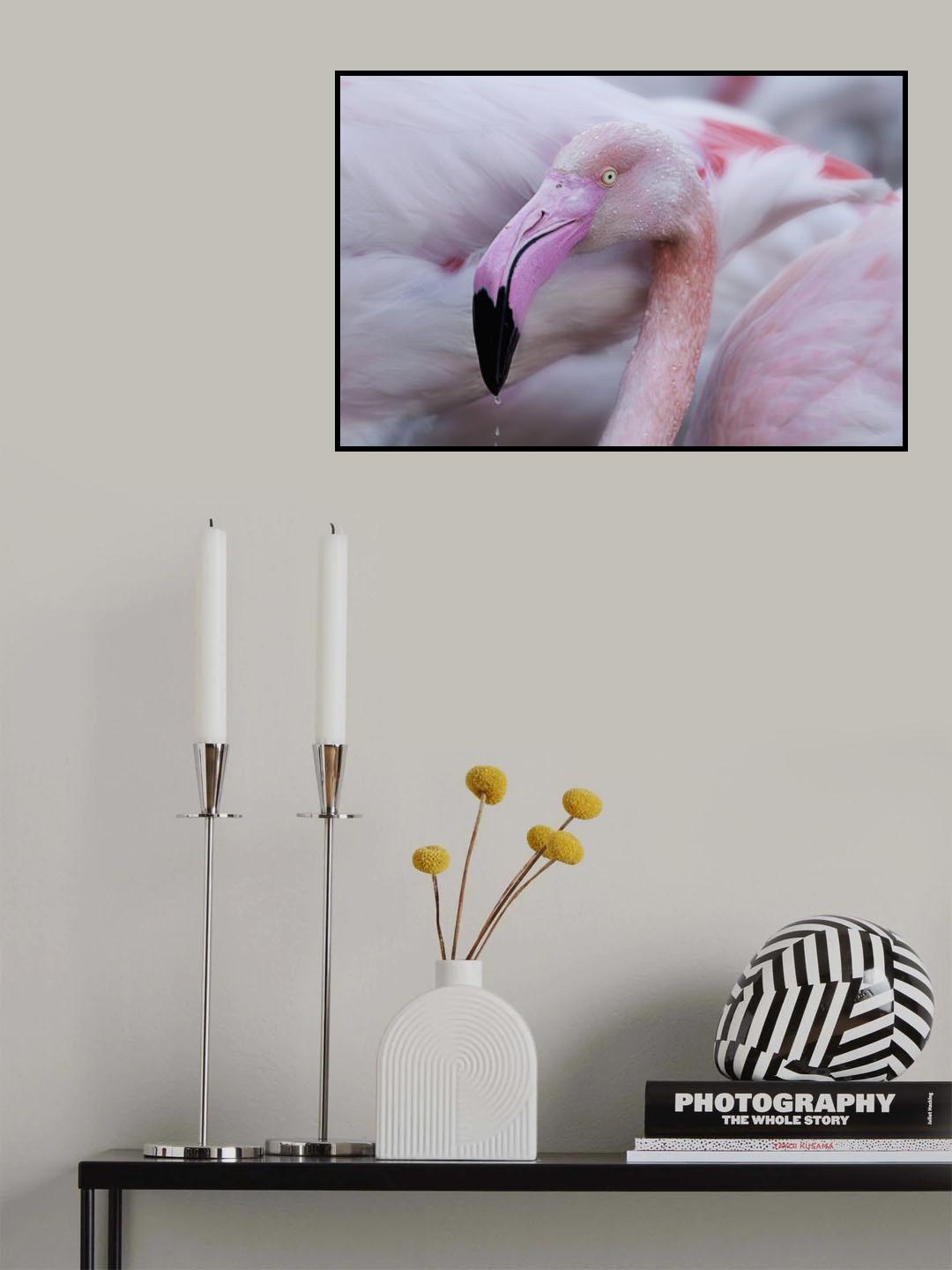 Unique mildness Poster och Canvastavla