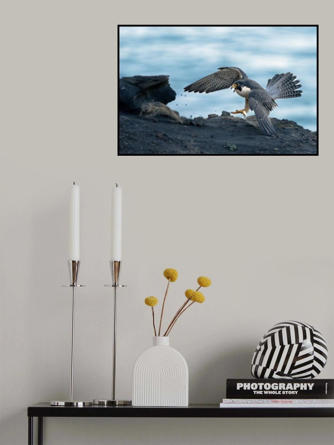 Chase Poster och Canvastavla