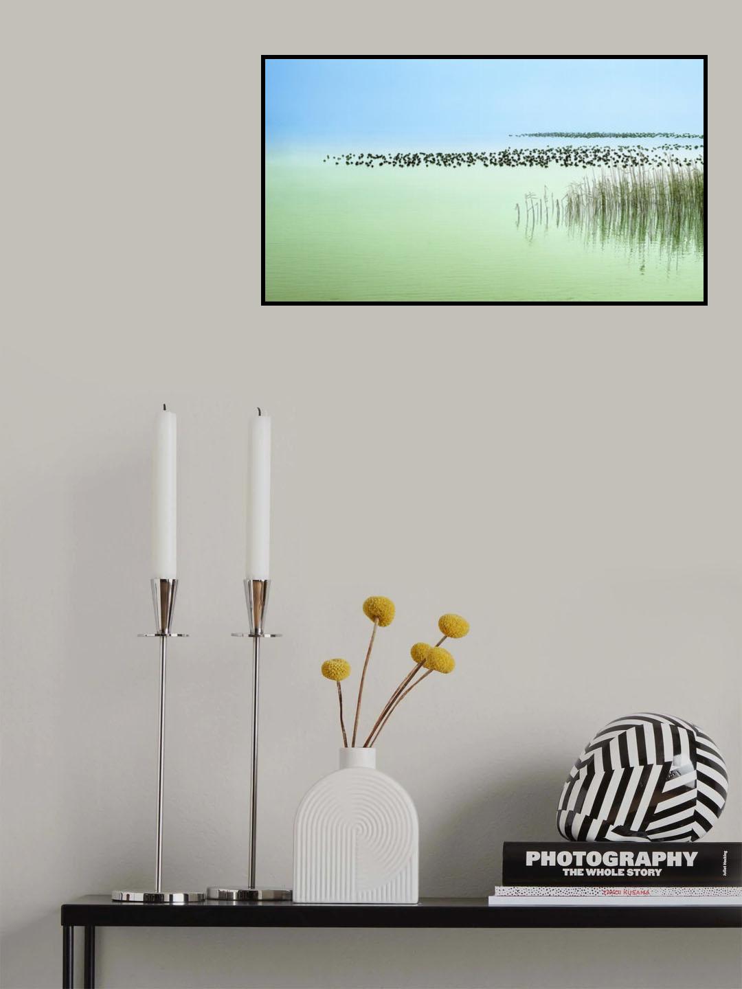 Harmony Poster och Canvastavla
