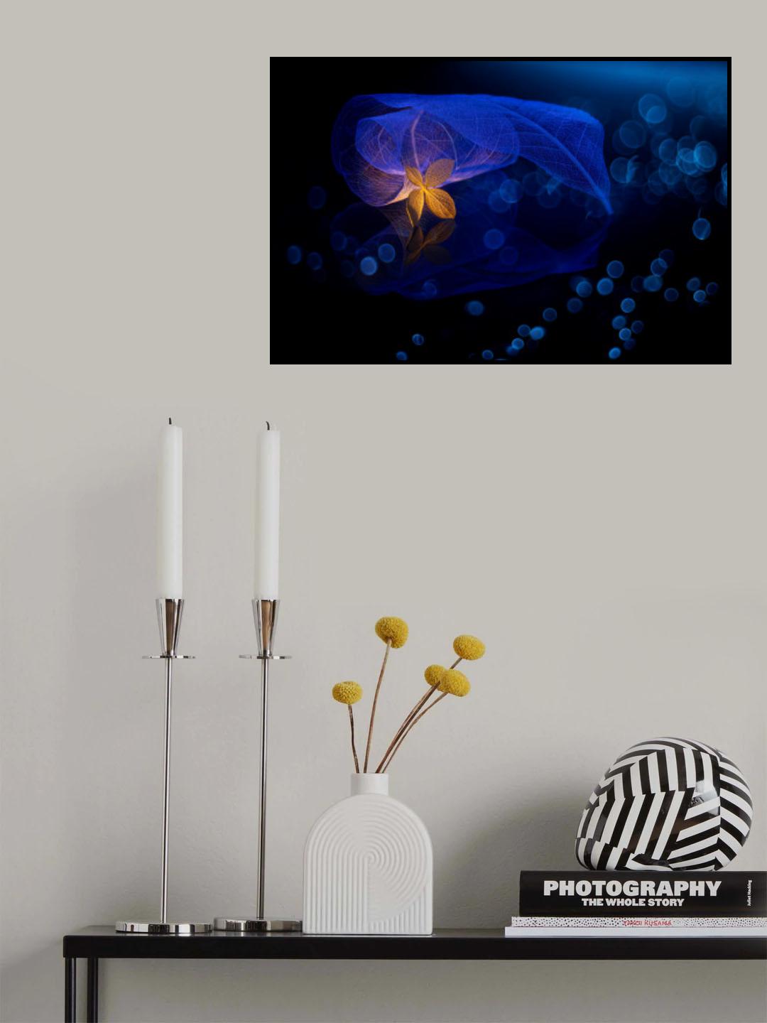 Night serenade Poster och Canvastavla