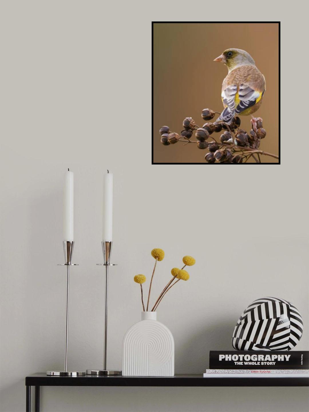 生态之美 Poster och Canvastavla