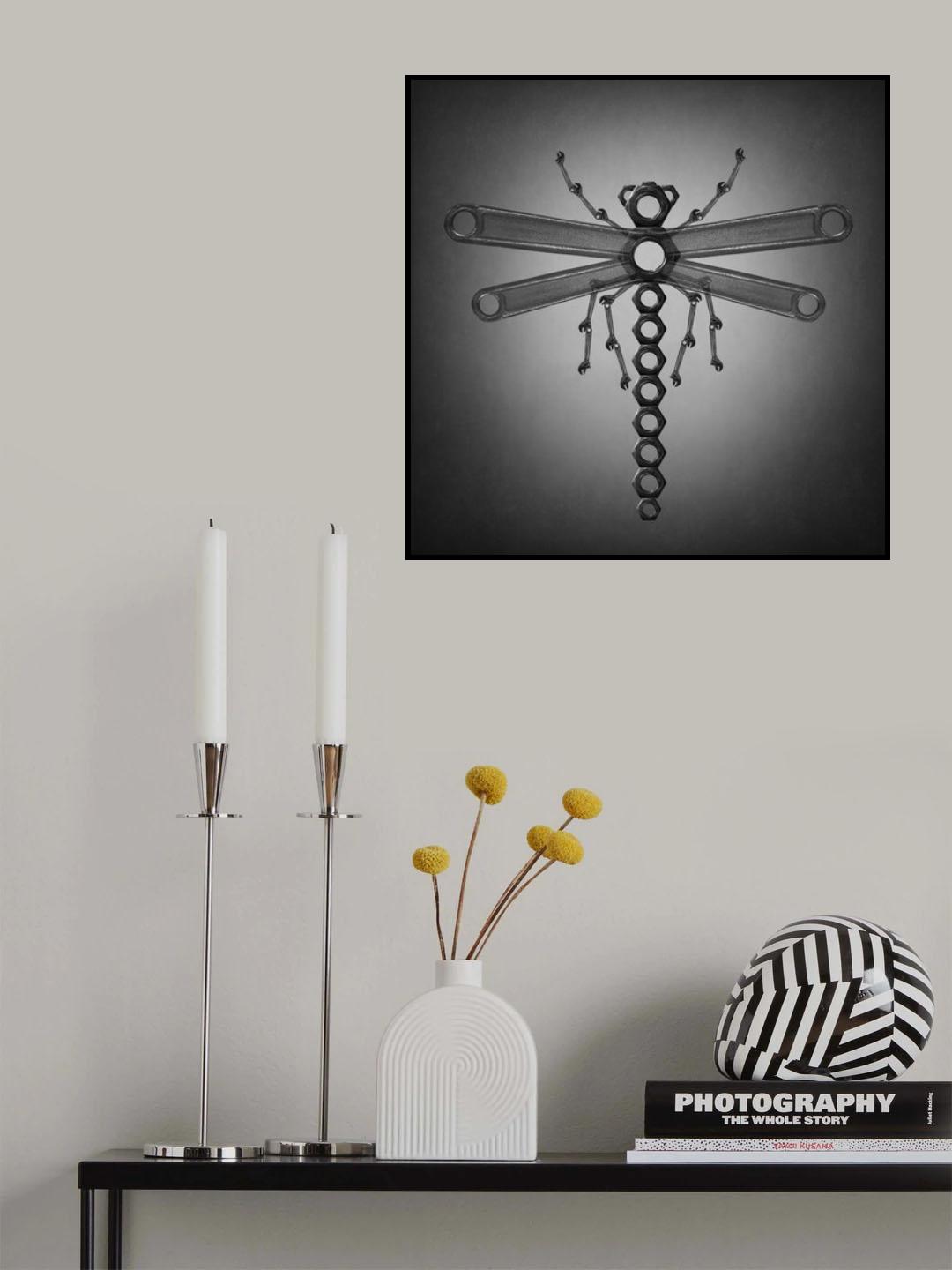 The dragonfly Poster och Canvastavla