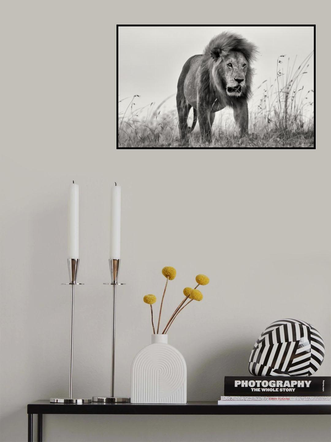 The King Poster och Canvastavla