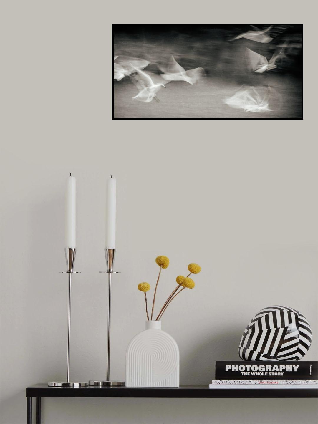 Fluttering gulls Poster och Canvastavla