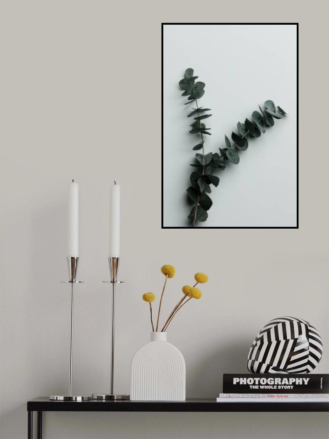 Eucalyptus Wall 02 Poster och Canvastavla