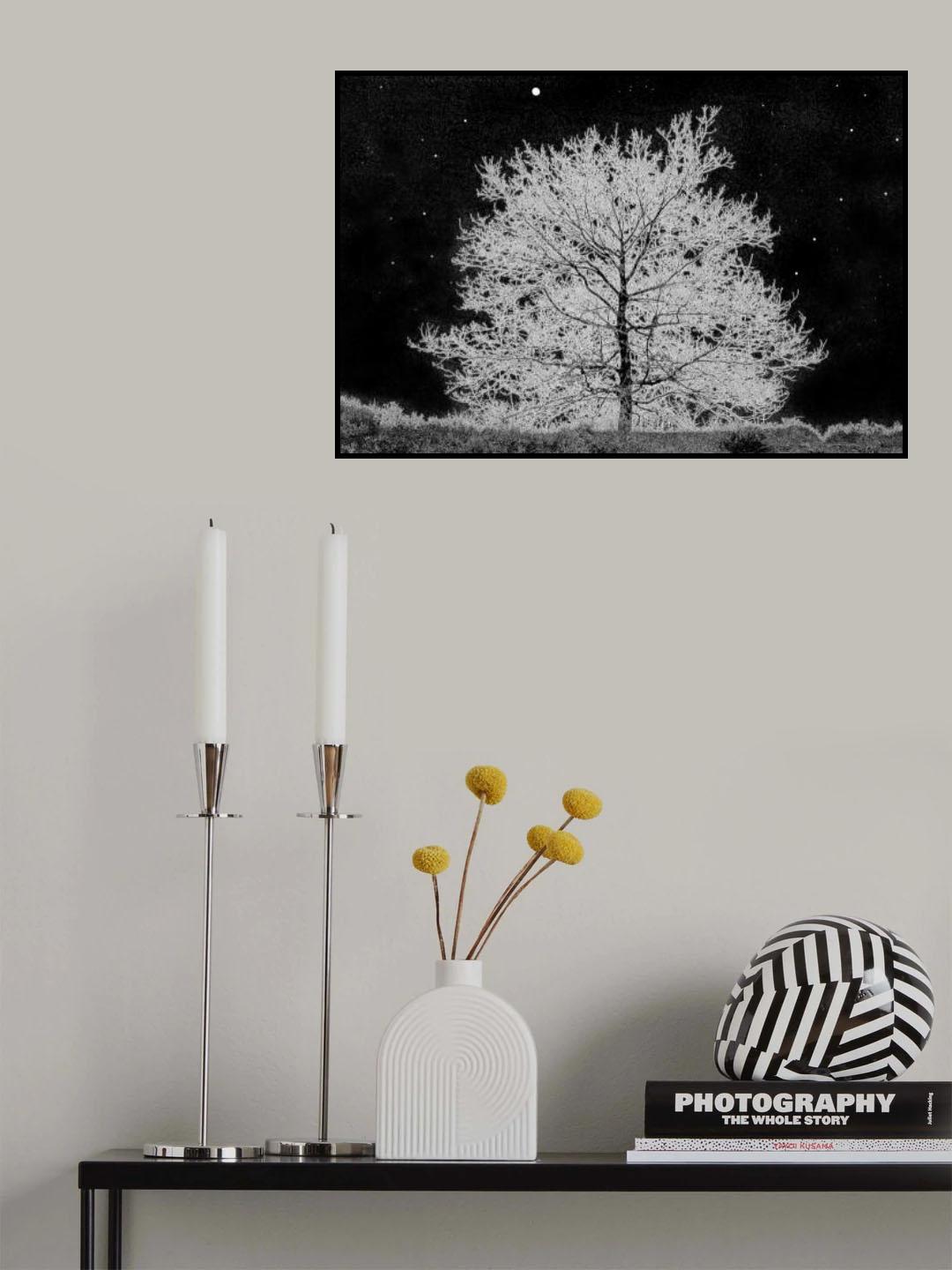 A cold night.....! Poster och Canvastavla