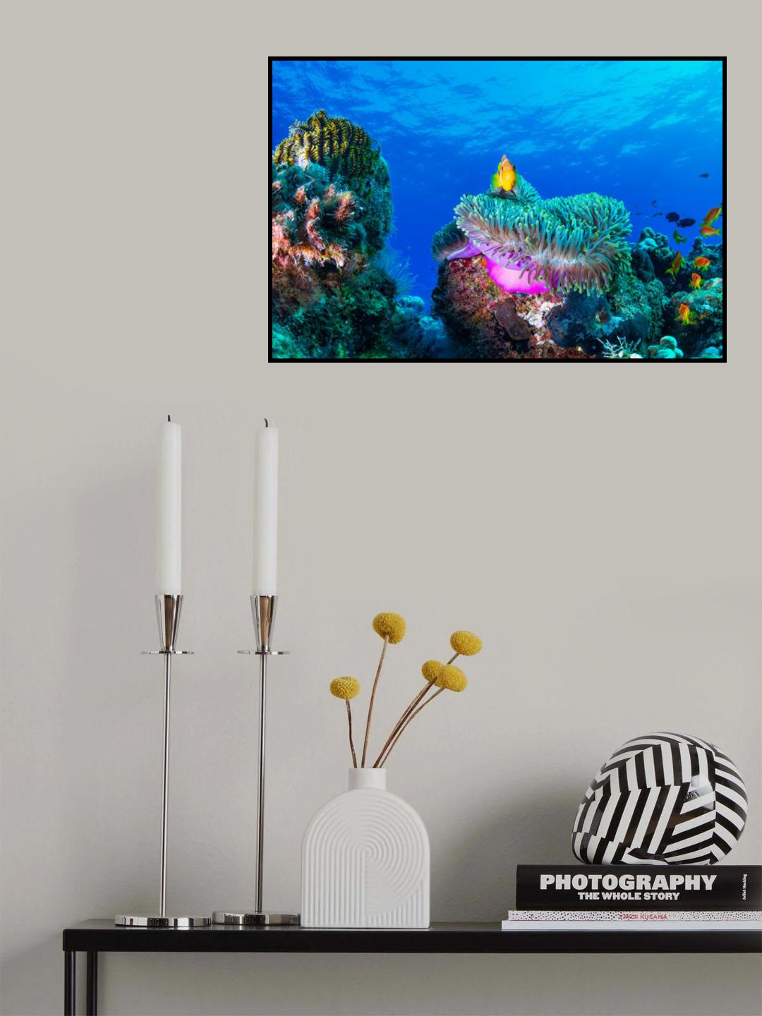 Sea life Poster och Canvastavla