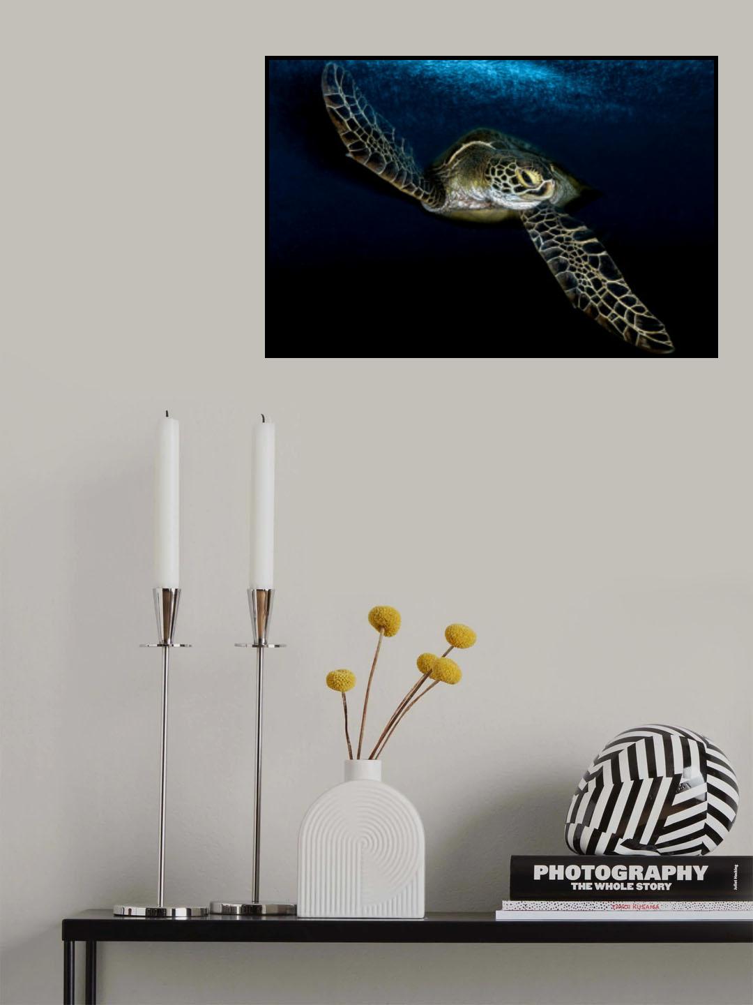 Into the deep blue sea Poster och Canvastavla