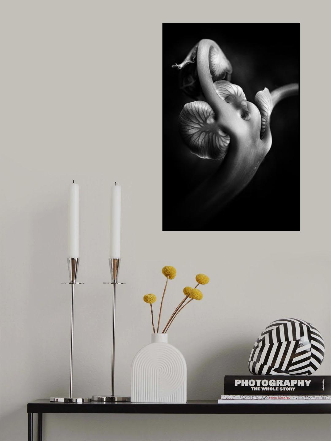 ..... ABw048 ..... Poster och Canvastavla
