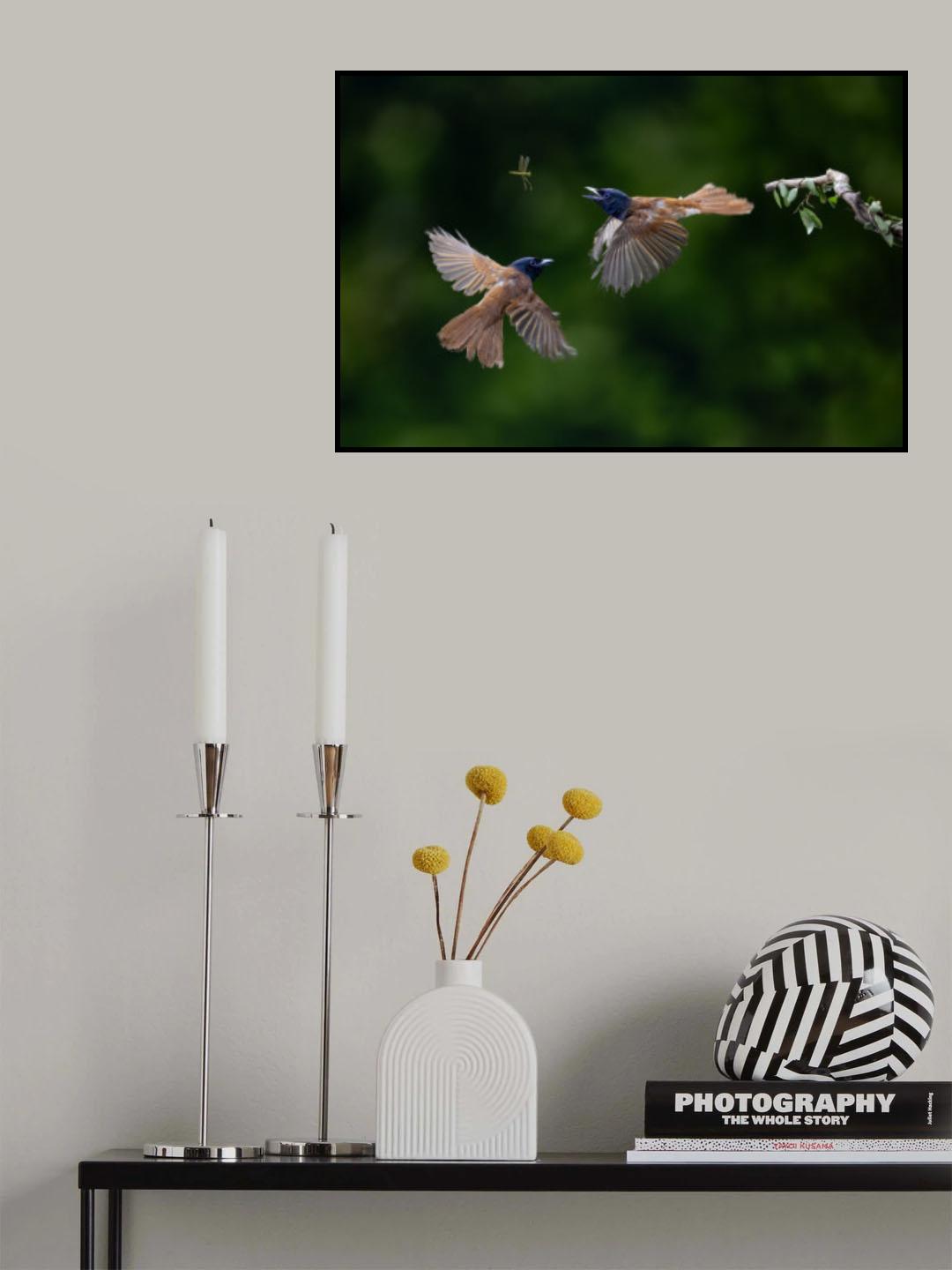 Flycatcher Bird Poster och Canvastavla